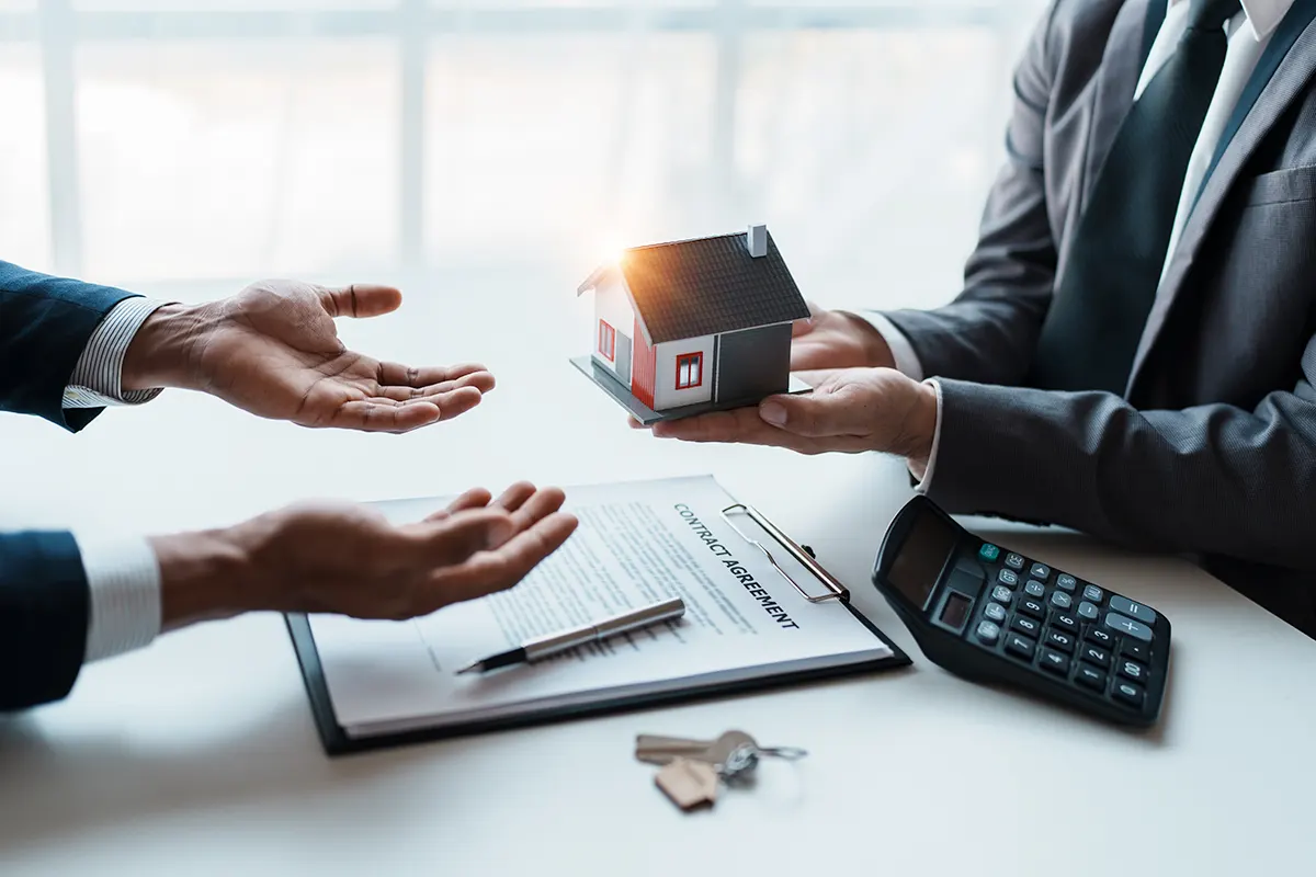 可拥有土地的产权